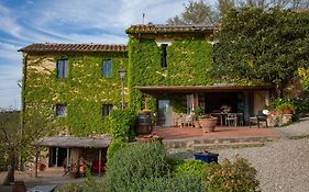 Agriturismo & Winery Il Bacio